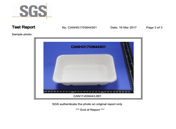 Bagasse Pulp Test Report-3