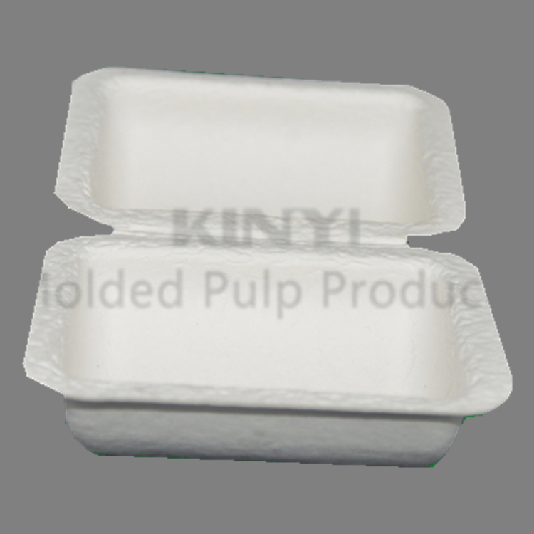 Biodegradable Bagasse Fiber Molded Packaging Box