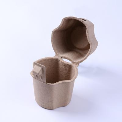 Compostable Recycled Paper Pulp Molded Botte Packaging