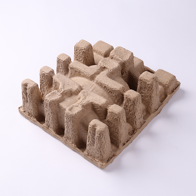 Disposable Waste Paper Pulp Molded Tray