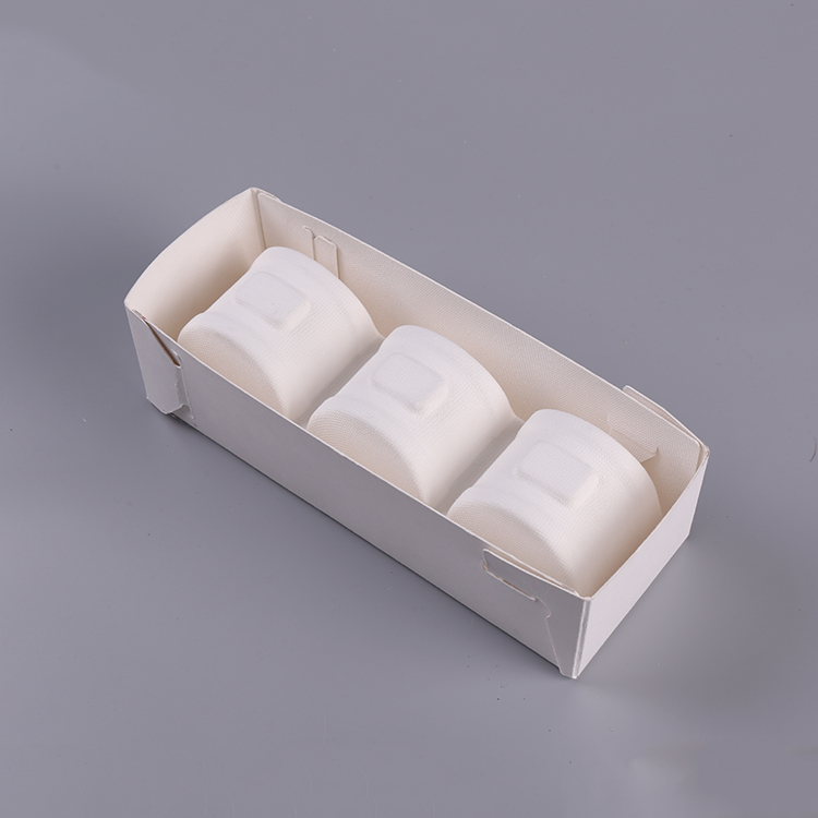 Disposable Bagasse Pulp Molded Tray