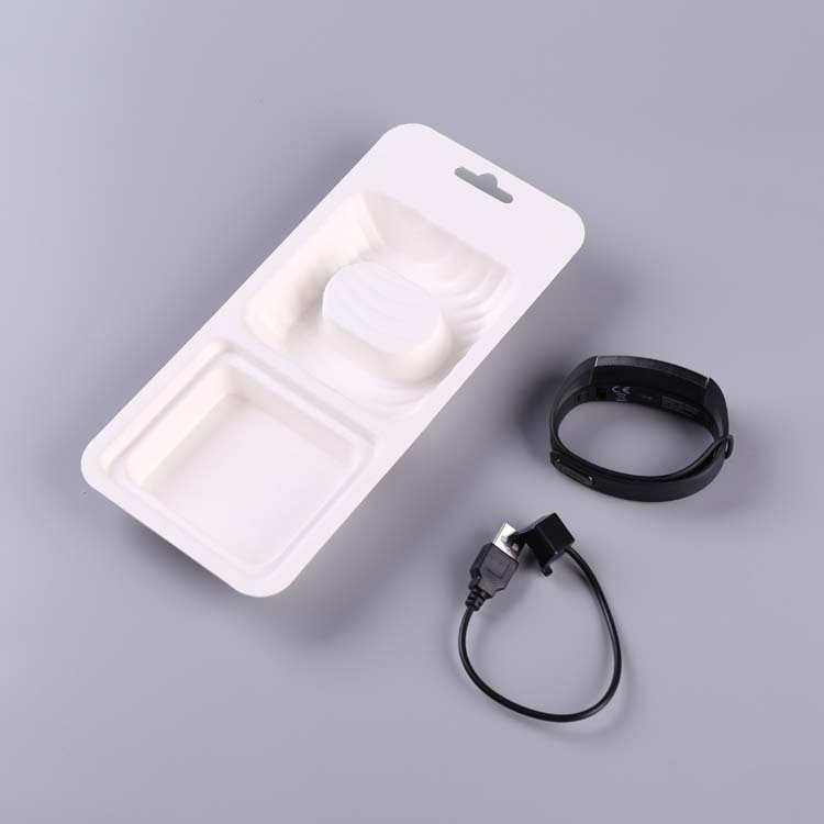 Bio Custom Sugarcane Bagasse Pulp Molded Insert