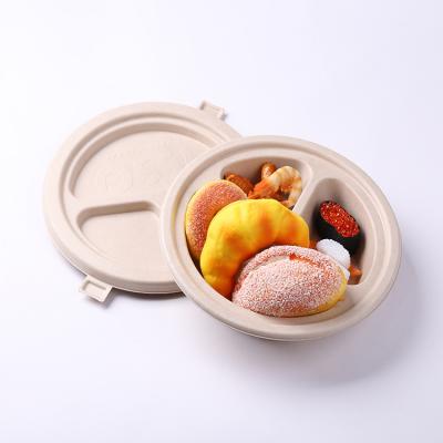Biodegradable custom bamboo fiber molded food box with lid