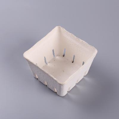 Disposable eco friendly bagasse pulp molded fruit container